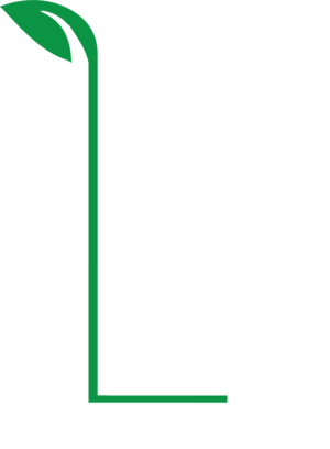NS Landscapes